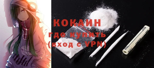 бошки Коряжма