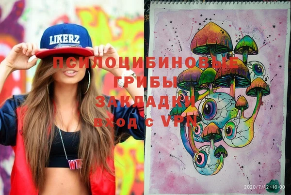 бошки Коряжма